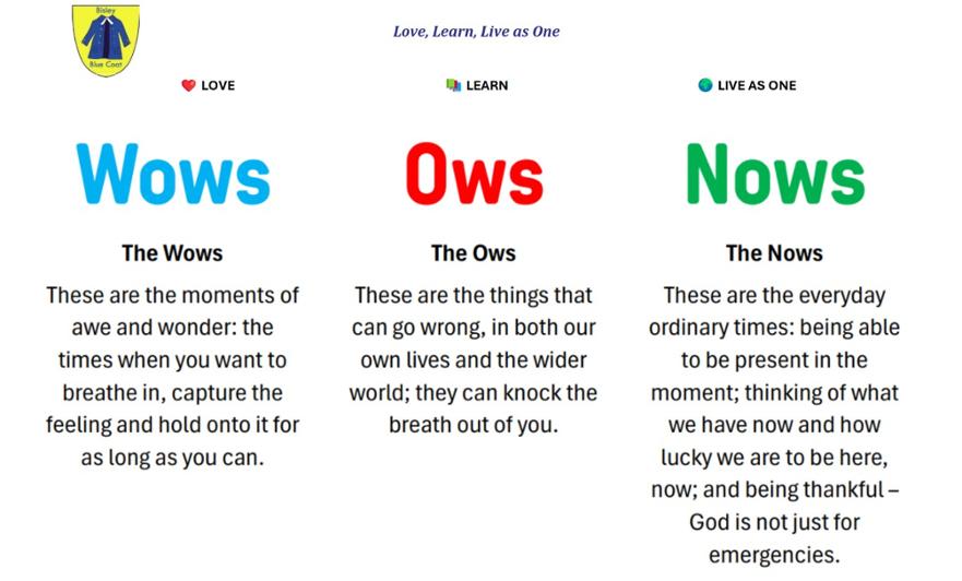 Ows, Wows, Nows